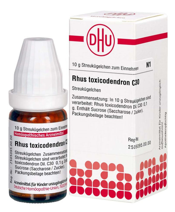 DHU Rhus toxicodendron C30 Streukügelchen, 10 g Globuli