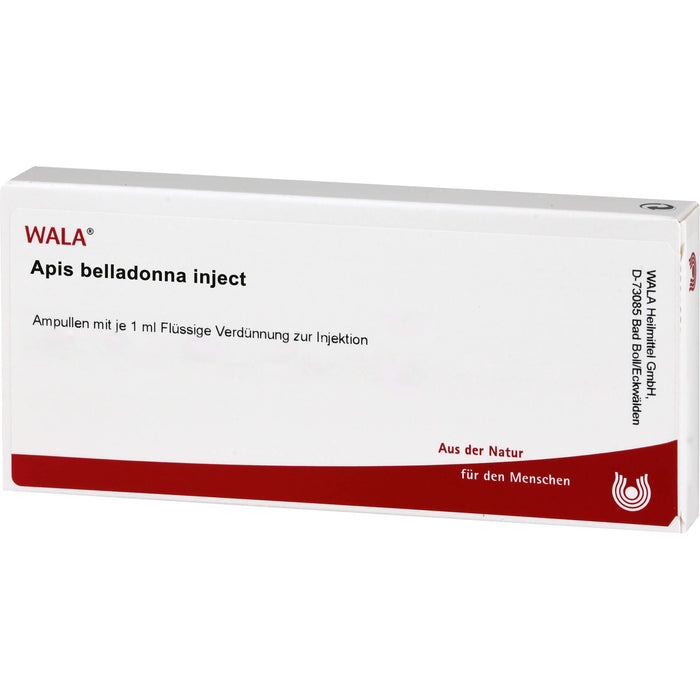 Apis Belladonna Inject, Flüssige Verdünnung zur Injektion Wala, 10X1 ml AMP