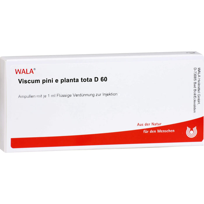 Viscum Pini e planta tota D60 Wala Ampullen, 10X1 ml AMP