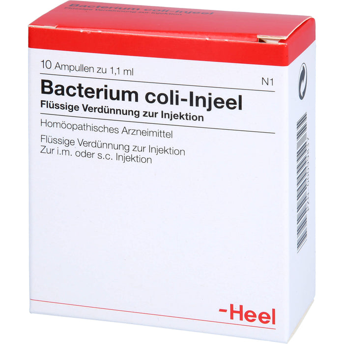 Bacterium coli-Injeel flüssige Verdünnung zur Injektion, 10 St. Ampullen