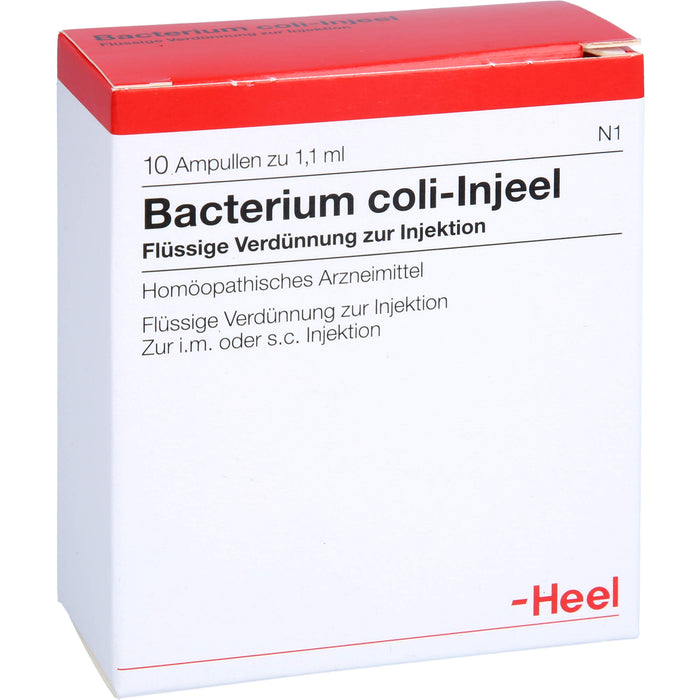 Bacterium coli-Injeel flüssige Verdünnung zur Injektion, 10 St. Ampullen