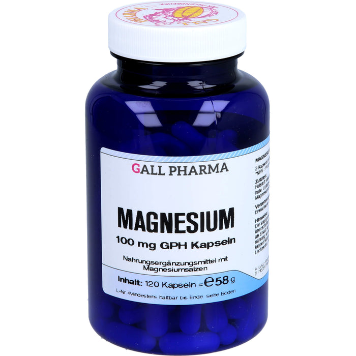 GALL PHARMA Magnesium 100 mg GPH Kapseln, 120 St. Kapseln