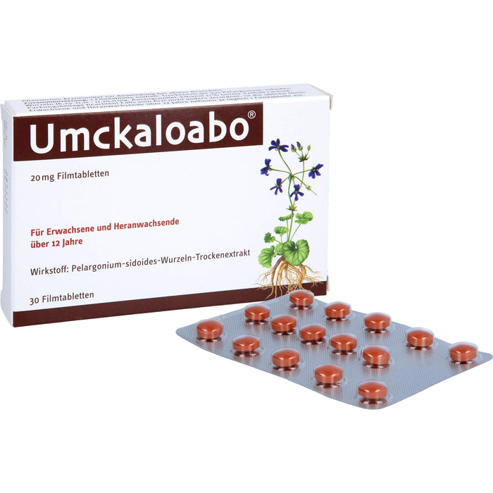 Umckaloabo 20 mg Filmtabletten, 30 St. Tabletten