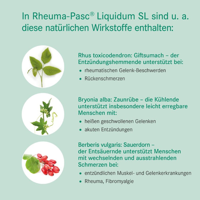 Rheuma-Pasc Liquidum SL, 100 ml TRO