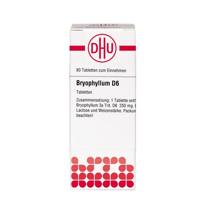 DHU Bryophyllum D6 Tabletten, 80 St. Tabletten