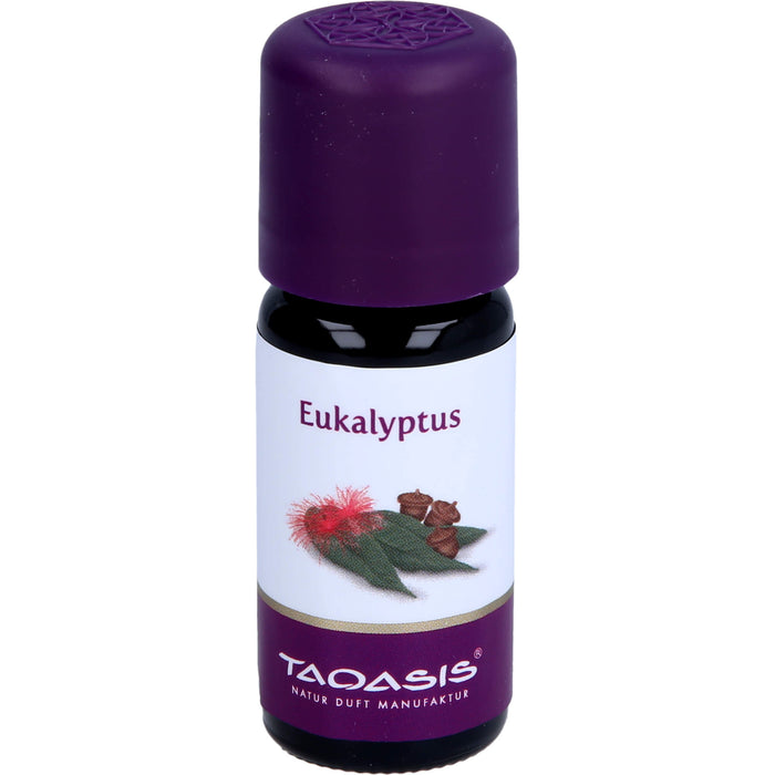 Eukalyptus Öl Arzneimittel, 10 ml ätherisches Öl