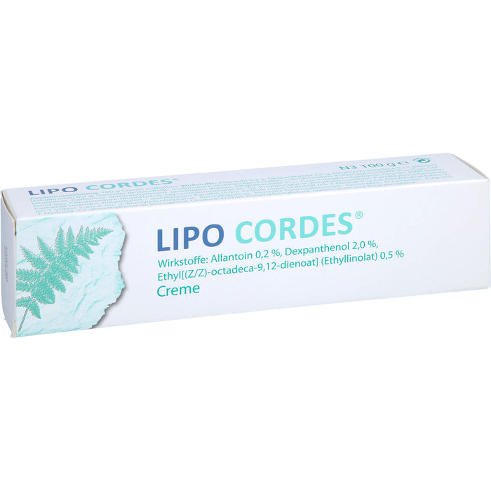 LIPO CORDES Creme bei fettarmer Haut, 100 g Creme