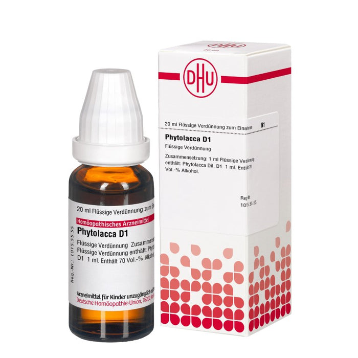 DHU Phytolacca D1 Dilution, 20 ml Lösung