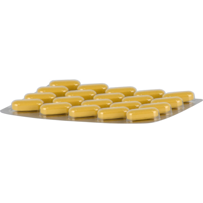 Neuroplant aktiv Filmtabletten bei depressiven Verstimmungen, 60 St. Tabletten
