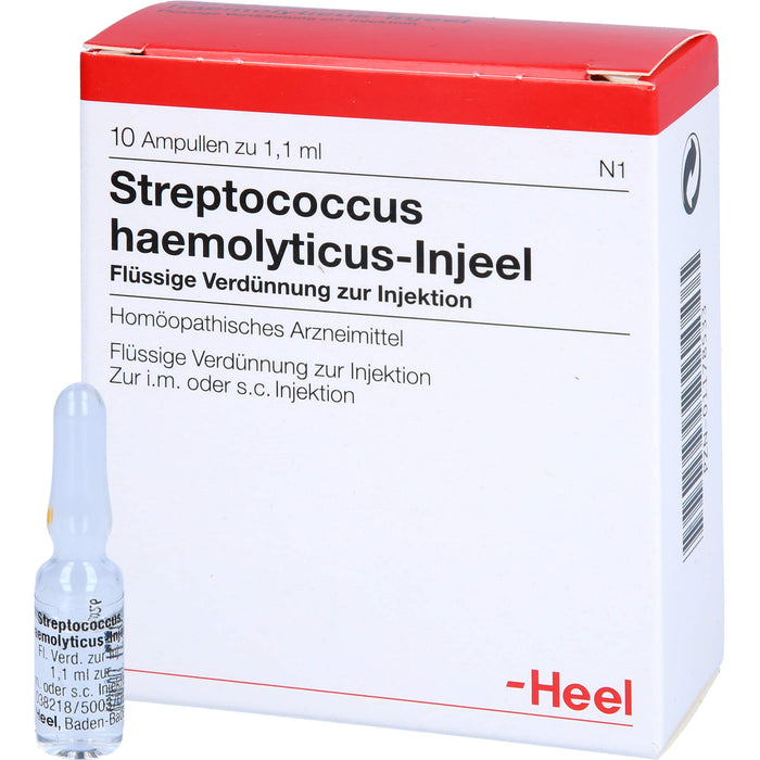 Streptococcus haemolyticus-Injeel flüssige Verdünnung, 10 St. Ampullen