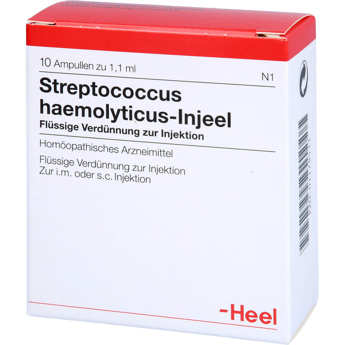 Streptococcus haemolyticus-Injeel flüssige Verdünnung, 10 St. Ampullen