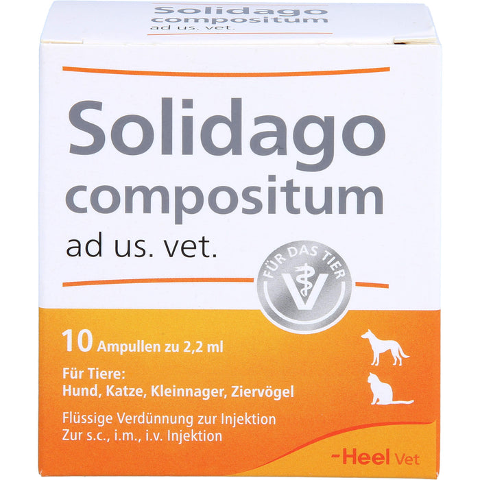 Solidago compositum ad us. vet. Ampullen für Tiere, 10 St. Ampullen