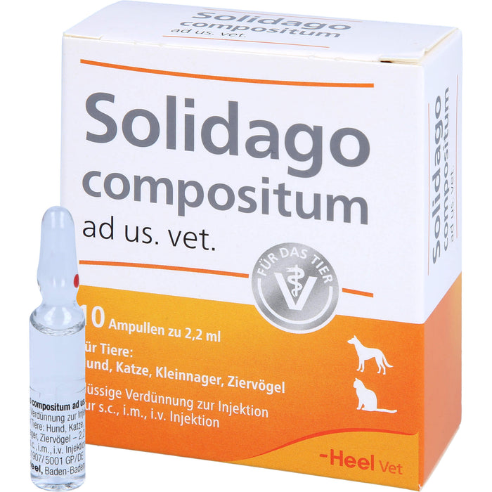 Solidago compositum ad us. vet. Ampullen für Tiere, 10 St. Ampullen