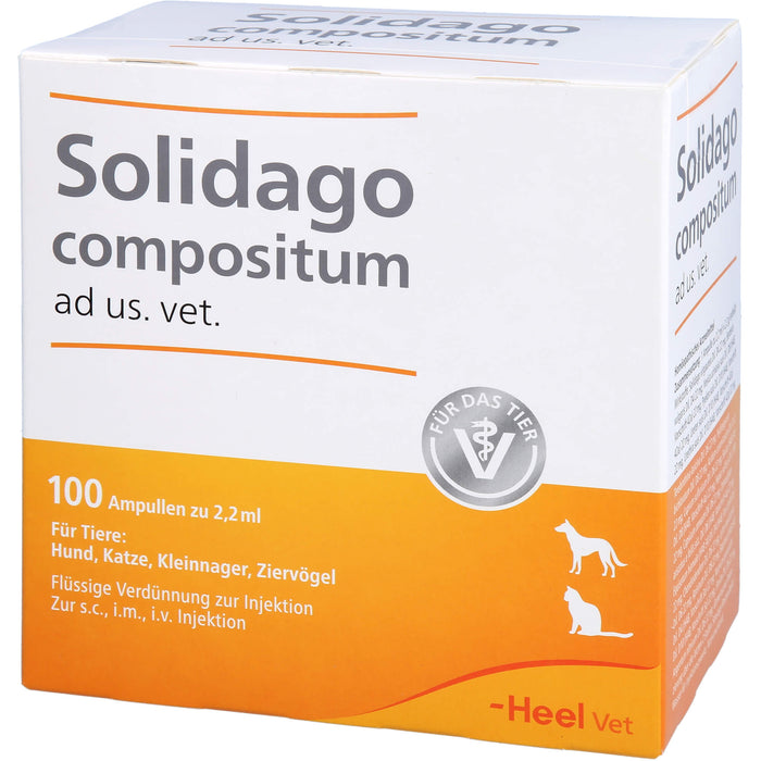 Heel Solidago compositum ad us. vet. flüssige Verdünnung zur Injektion, 100 St. Ampullen