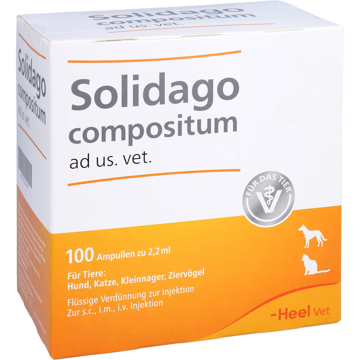 Heel Solidago compositum ad us. vet. flüssige Verdünnung zur Injektion, 100 St. Ampullen