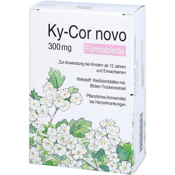 Ky-Cor novo, 300 mg, Filmtablette, 100 St FTA