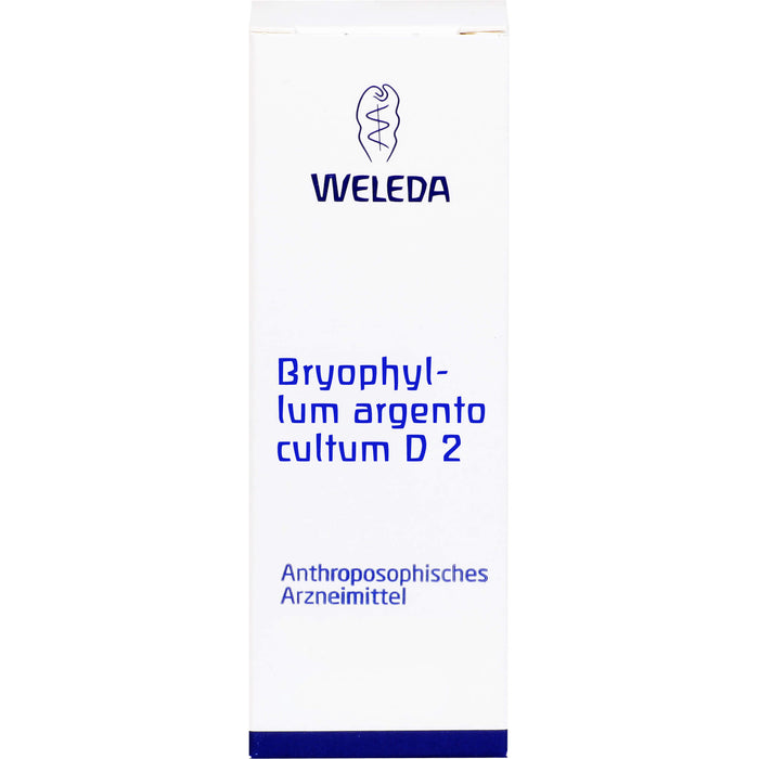 WELEDA Bryophyllum Argento cultum D2 flüssige Verdünnung, 50 ml Lösung