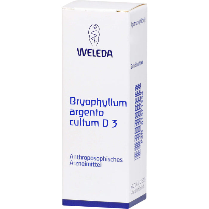 WELEDA Bryophyllum Argento cultum D3 flüssige Verdünnung, 50 ml Lösung