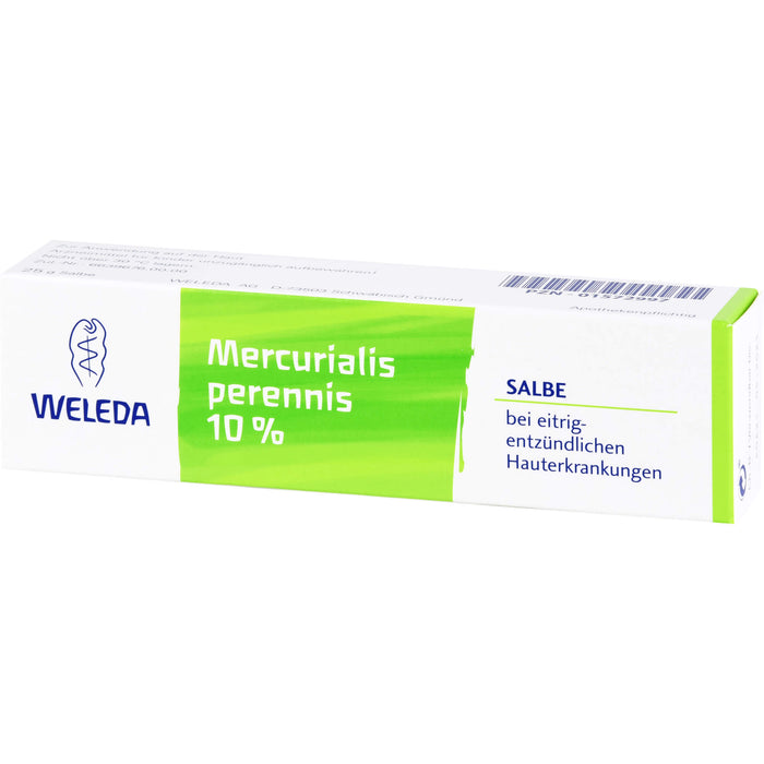 Weleda Mercurialis perennis 10 % Salbe bei eitrig-entzündlichen Hauterkrankungen, 25 g Salbe