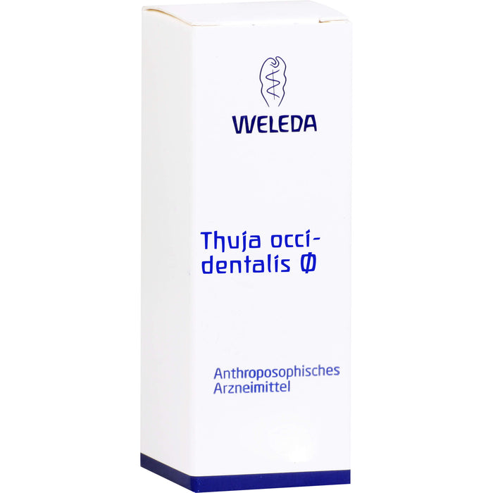 Thuja occidentalis Urtinktur Weleda Dil., 20 ml DIL