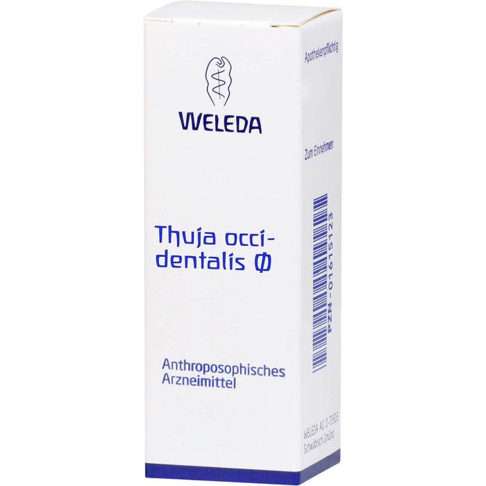 Thuja occidentalis Urtinktur Weleda Dil., 20 ml DIL
