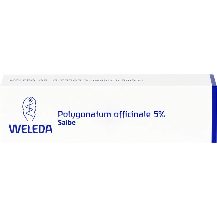 WELEDA Polygonatum officinale 5% Salbe, 25 g Salbe
