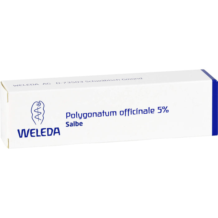 WELEDA Polygonatum officinale 5% Salbe, 25 g Salbe