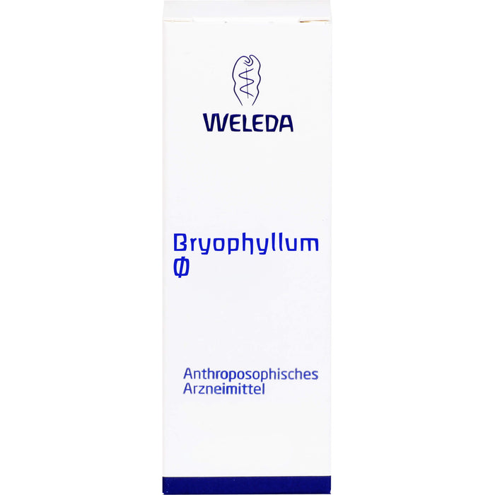 Bryophyllum Urtinktur Weleda Dil., 50 ml DIL