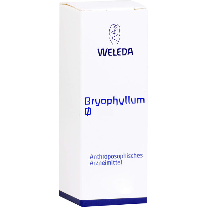 Bryophyllum Urtinktur Weleda Dil., 50 ml DIL