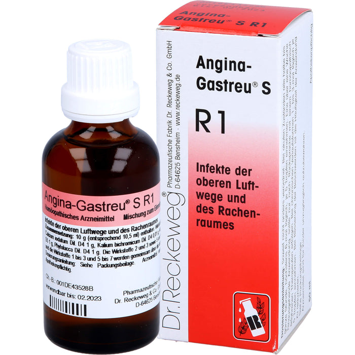 Angina-Gastreu S R1 Tropfen, 50 ml MIS