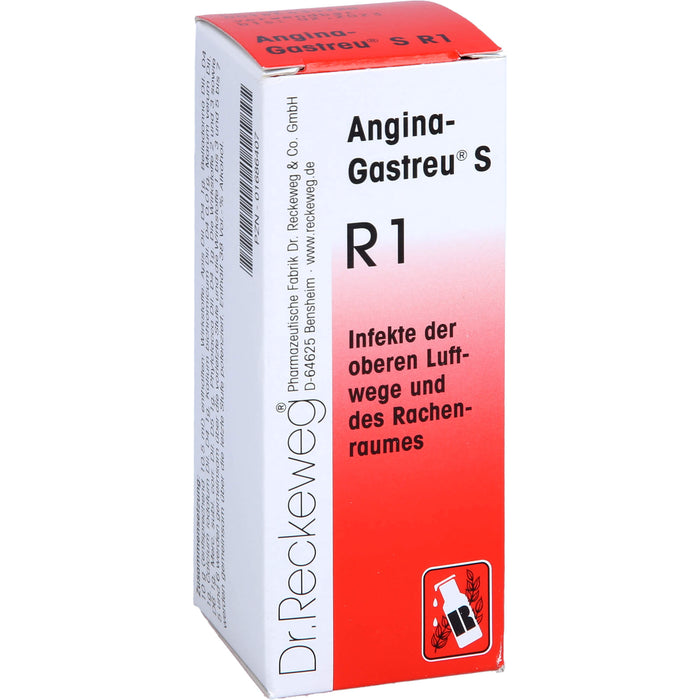 Angina-Gastreu S R1 Tropfen, 50 ml MIS