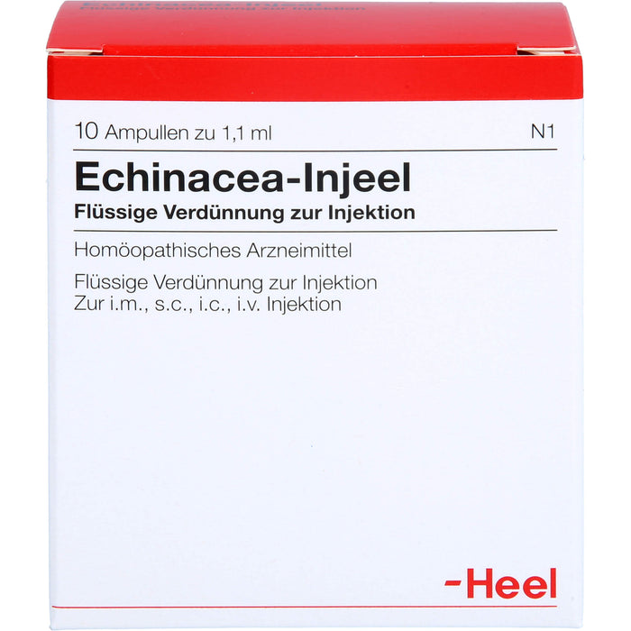 Echinacea-Injeel flüssige Verdünnung, 10 St. Ampullen