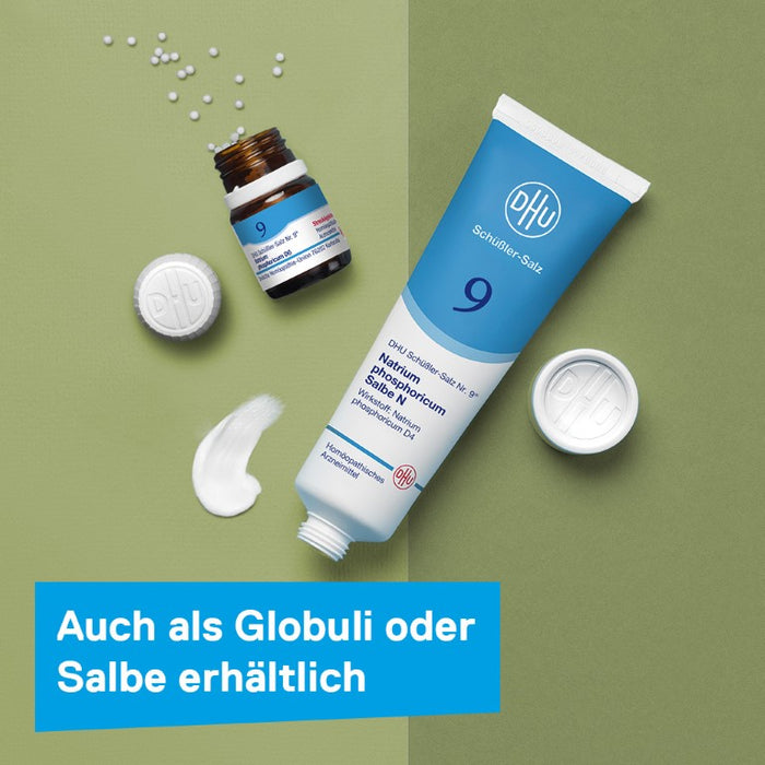 DHU Schüßler-Salz Nr. 9 Natrium phosphoricum D12 Tabletten, 80 St. Tabletten