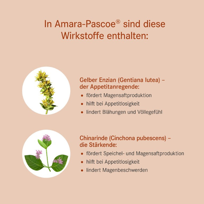 Amara-Pascoe Tinktur pflanzliches Magen-Darm-Mittel, 50 ml Lösung