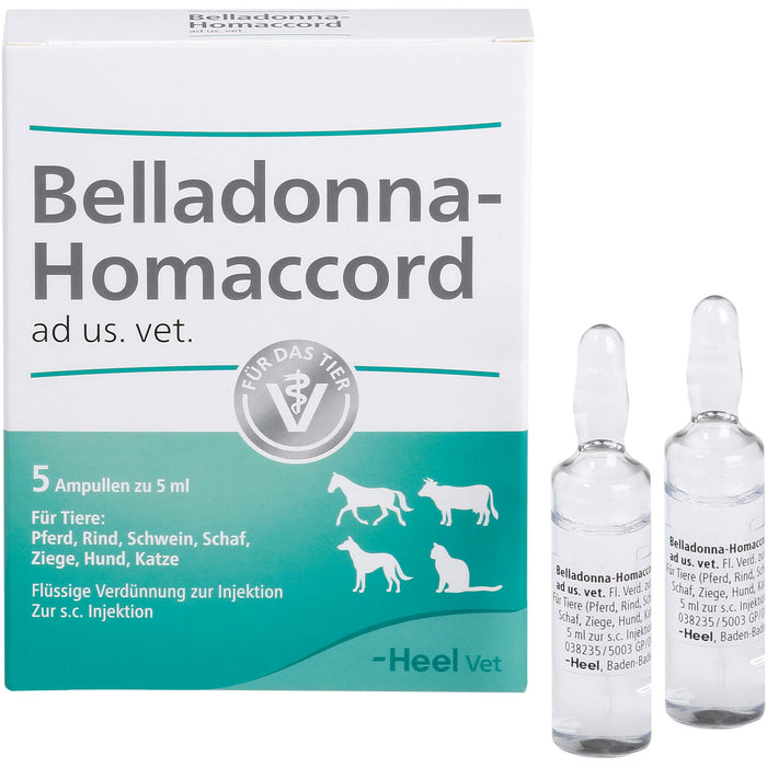 Heel Belladonna Homaccord flüssige Verdünnung zur Injektion für Tiere, 5 St. Ampullen