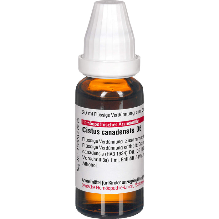 DHU Cistus canadensis D6 Dilution, 20 ml Lösung
