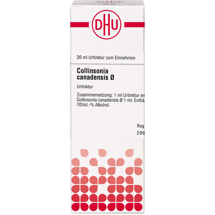 DHU Collinsonia canadensis Ø Urtinktur, 20 ml Lösung