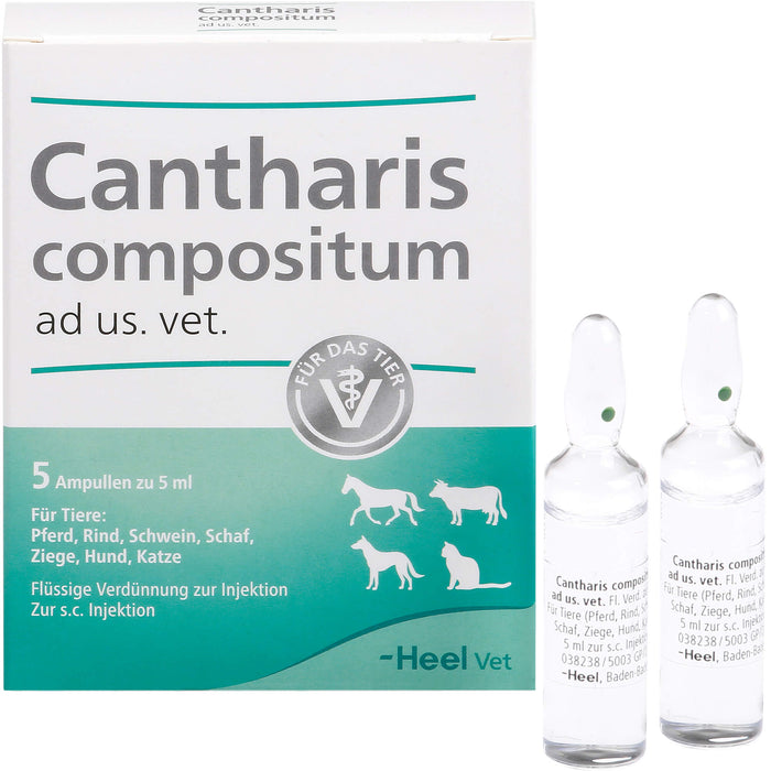 Cantharis Comp Vet, 5 St AMP