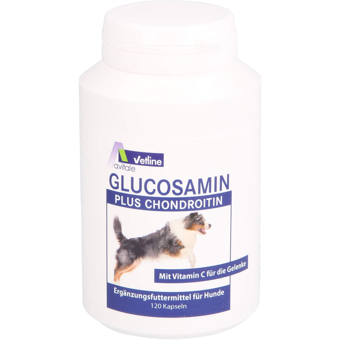 Glucosamin+Chondroitin Kapseln für Hunde, 120 St KAP