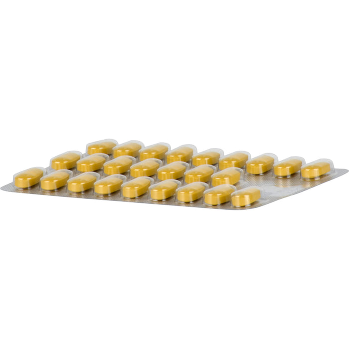 Tebonin intens 120 mg Filmtabletten zur Leistungsstärkung des Gehirns und zur Durchblutung, 200 St. Tabletten