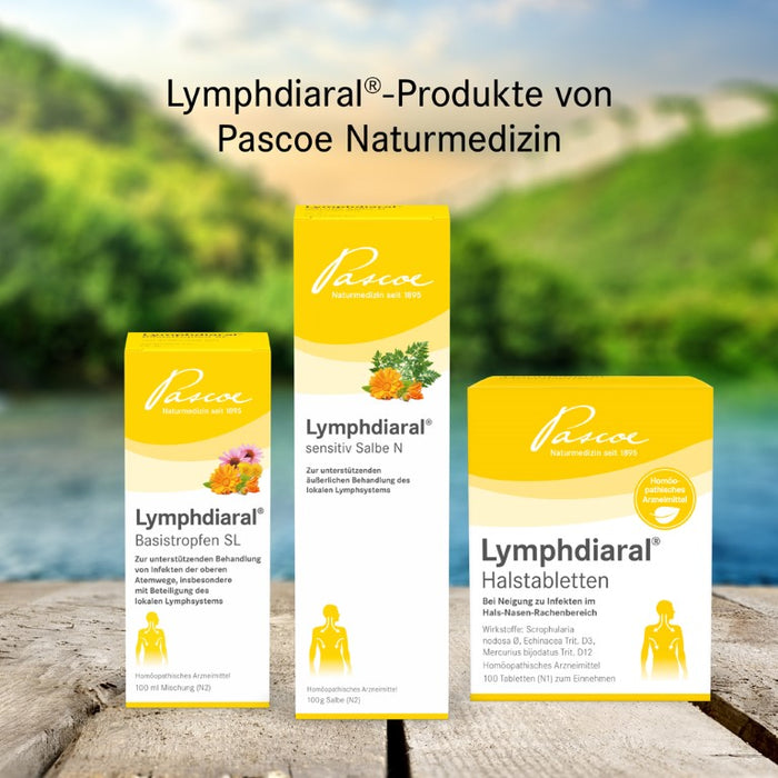 Lymphdiaral Basistropfen SL, 50 ml Lösung