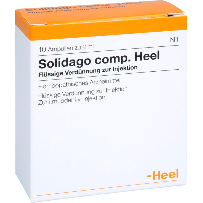 Solidago comp. Heel Ampullen, 10 St. Ampullen