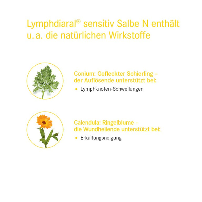 Lymphdiaral sensitiv Salbe N, 100 g SAL