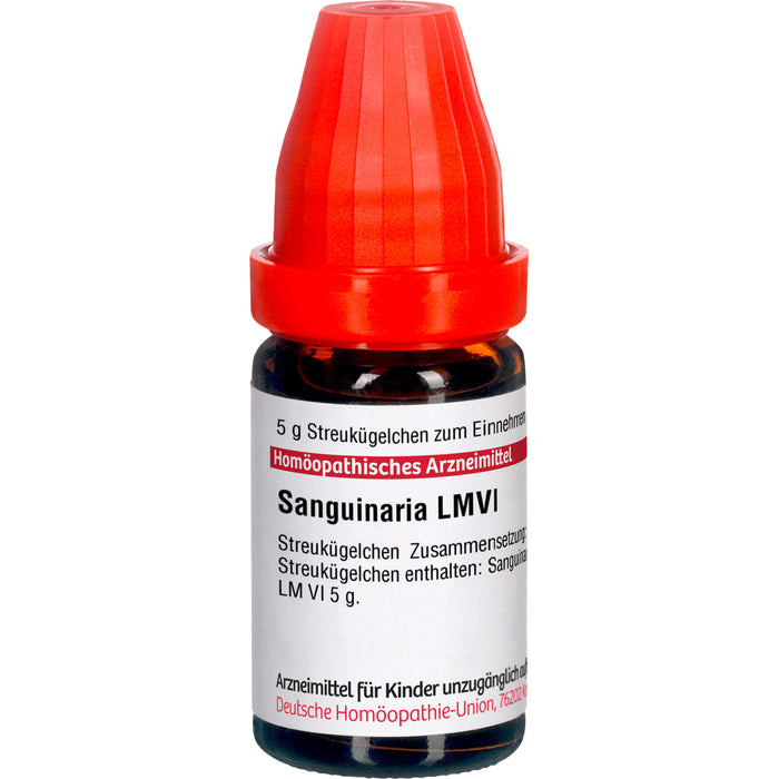 DHU Sanguinaria LM VI Streukügelchen, 5 g Globuli