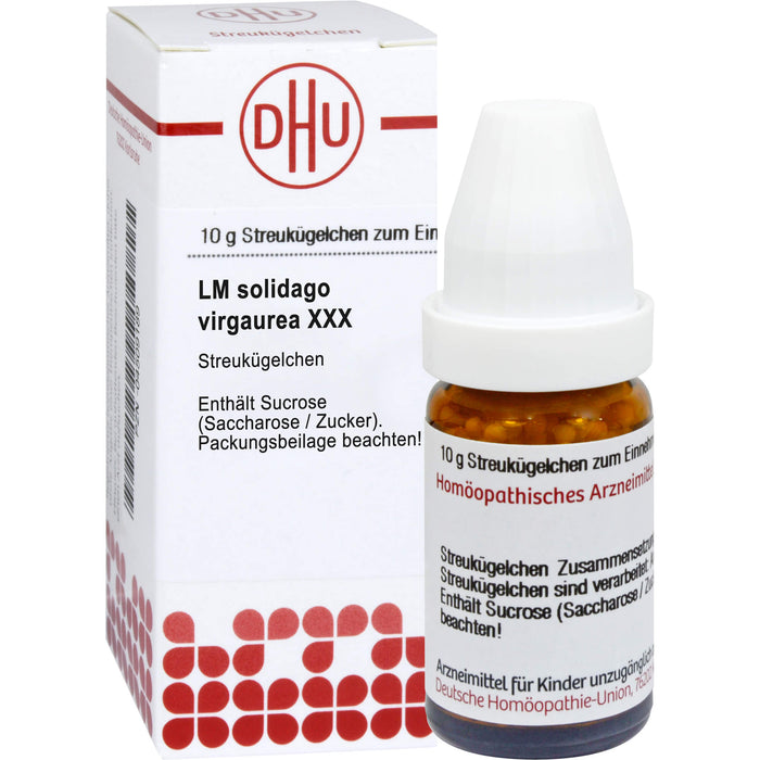 DHU Solidago virgaurea LM XXX Streukügelchen, 5 g Globuli