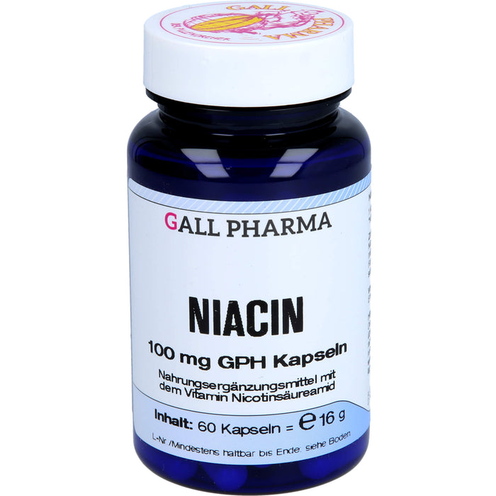 GALL PHARMA Niacin 100 mg GPH Kapseln, 60 St. Kapseln