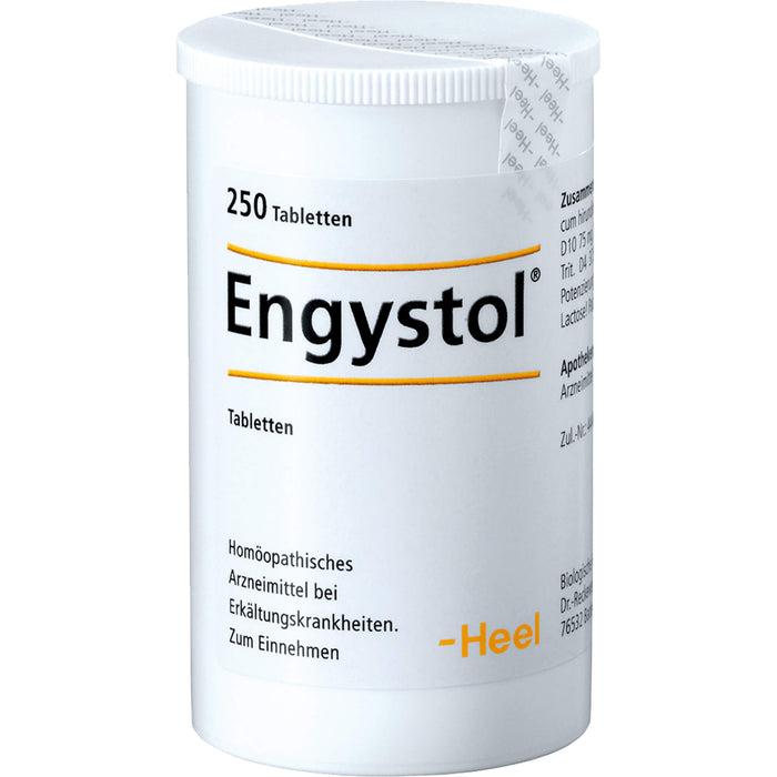 Engystol Tabletten bei Erkältungskrankheiten und grippalen Infekten, 250 St. Tabletten