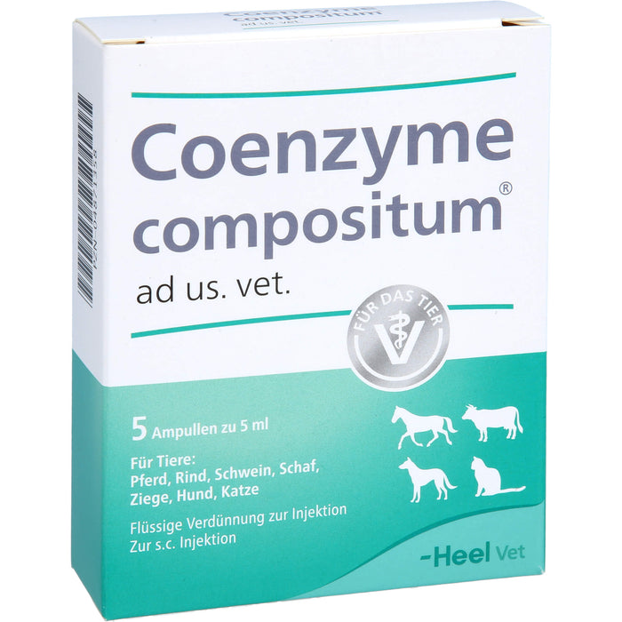 Heel Coenzyme compositum ad us. vet. Ampullen, 5 St. Ampullen