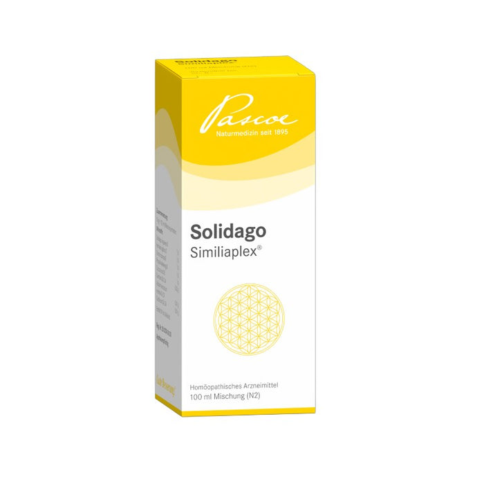 Pascoe Solidago Similiaplex Mischung, 100 ml Lösung