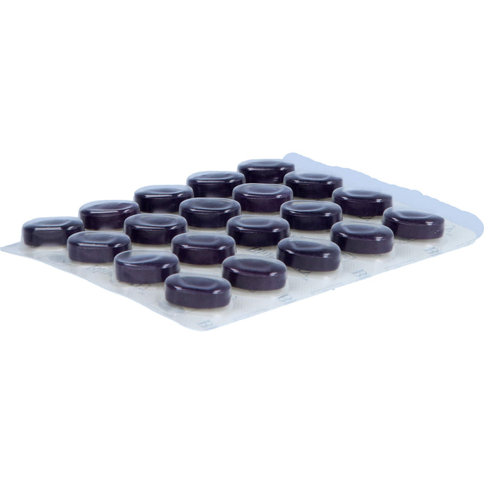 NEW NORDIC Blue Berry Eyebright Tabletten für die Sehkraft, 60 St. Tabletten